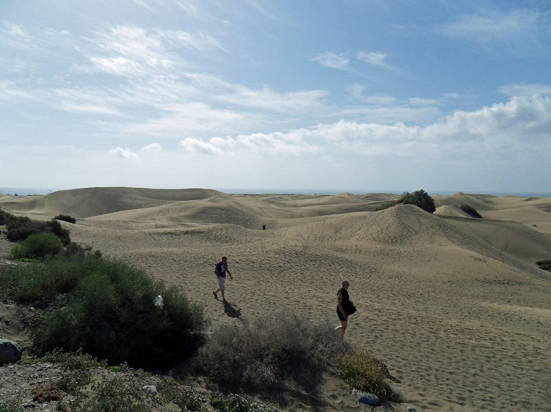 SDC10157.JPG - dynerna i maspalomas