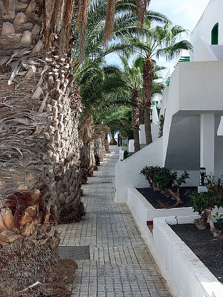 Lanzarote112.jpg - allé