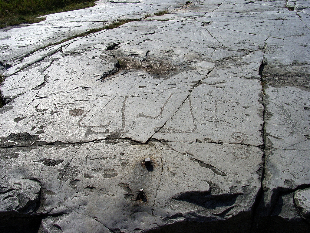 RIMG0352.jpg - Hällristningar utanför Simrishamn