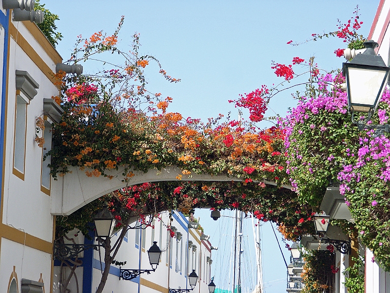 SA1254.jpg - Puerto de Mogan