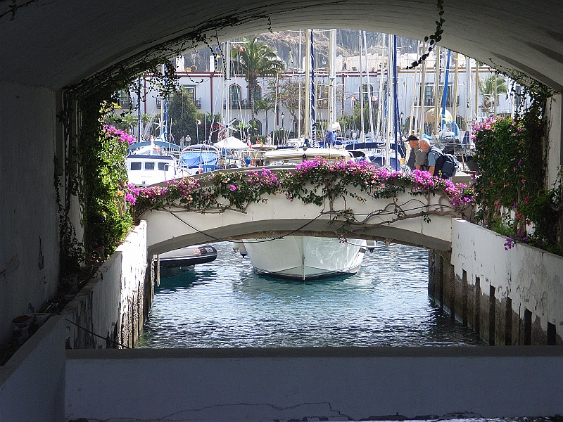 SA1256.jpg - Puerto de Mogan