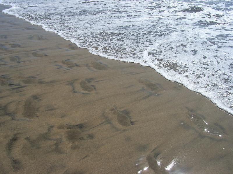 SA2073.jpg - footprints