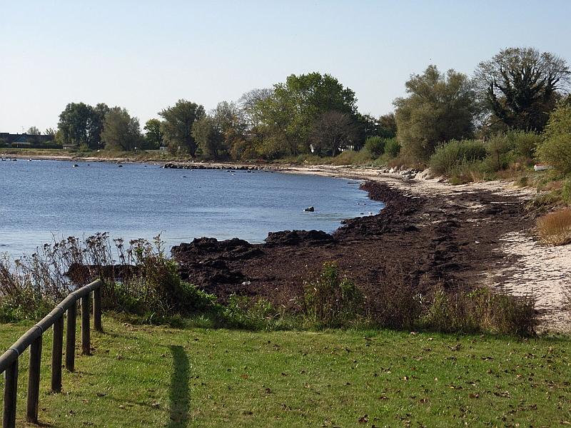 Ystadsresan37.JPG - ödestrand....